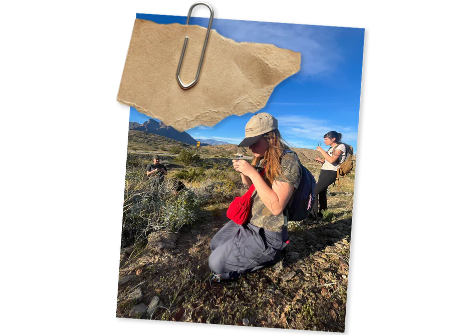 Lab member in the field