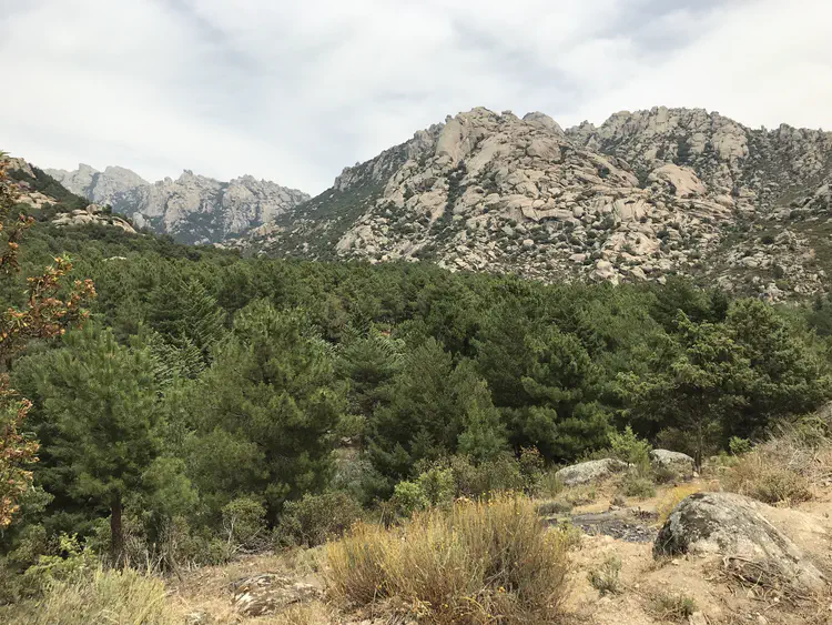 Granite boulder mountains are iconic of La Pedriza in Sierra de Guadarrama National Park, Spain.