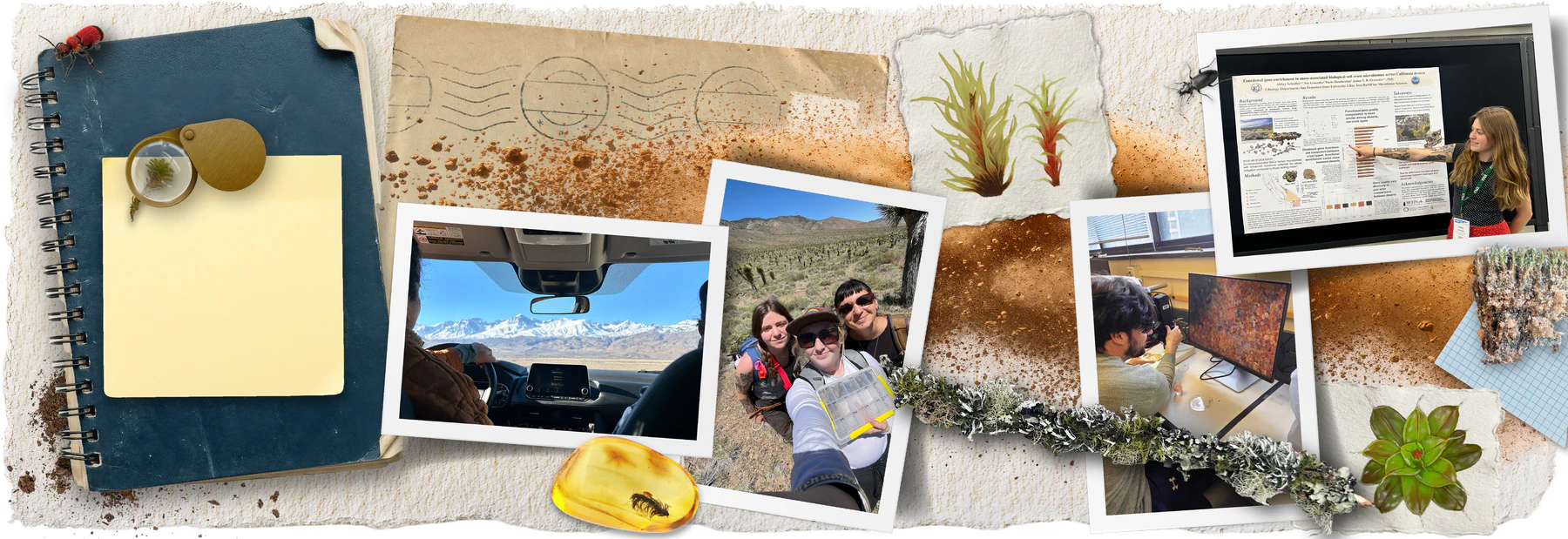 MEEP Lab fieldwork, lab work, and research presentations