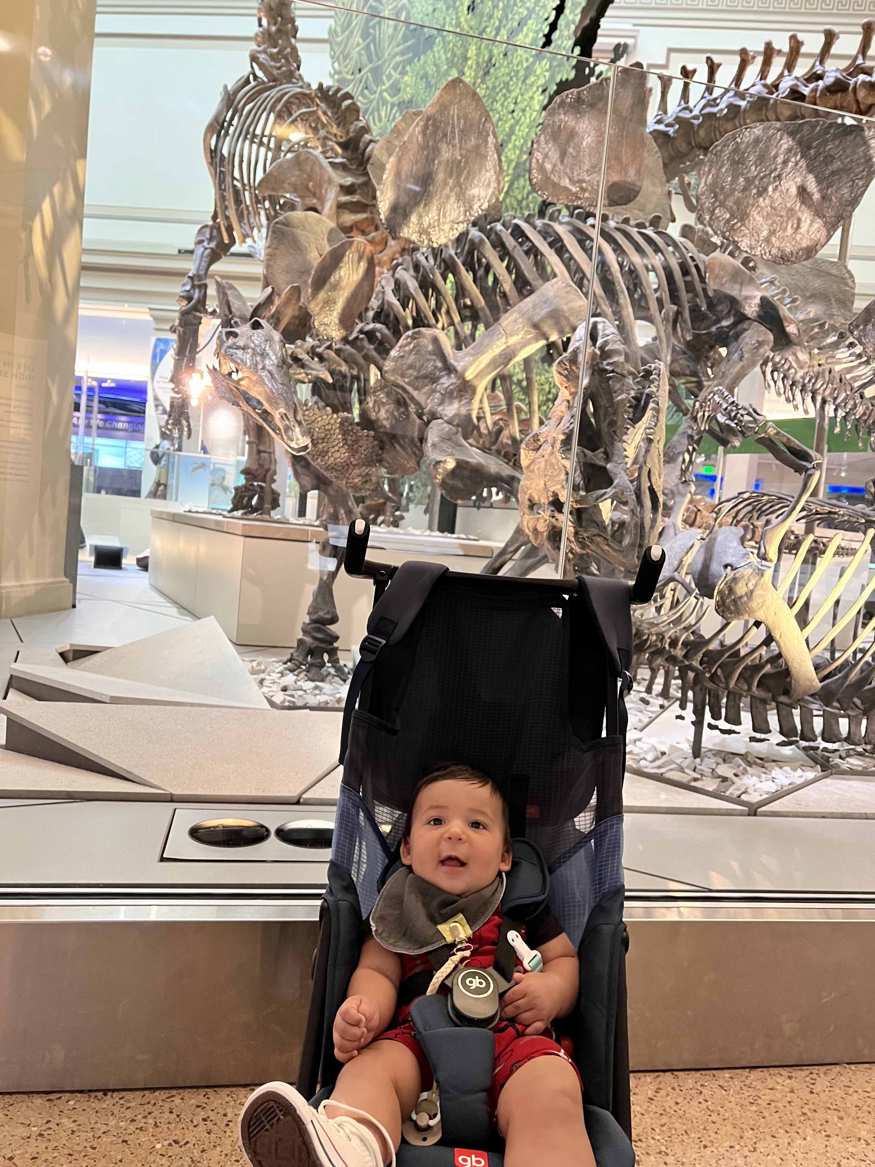 Baby with a Stegosaurus in the National Museum of Natural History